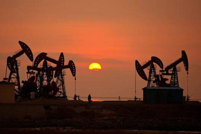 来源：招商证券