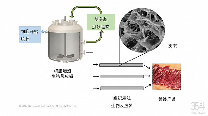 图：细胞培养肉生产过程，图源：GFI，翻译：35斗