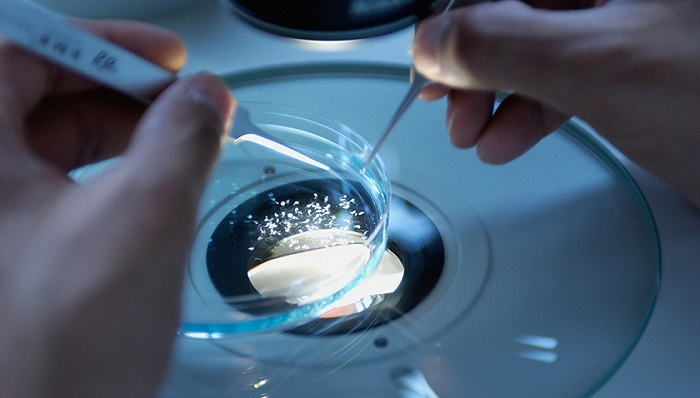 图片来源：Unsplash-National Cancer Institute