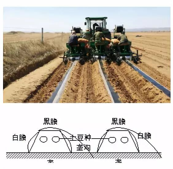 地理视角看垄沟种植|葡萄|土壤|水分|作物|地区_新浪新闻