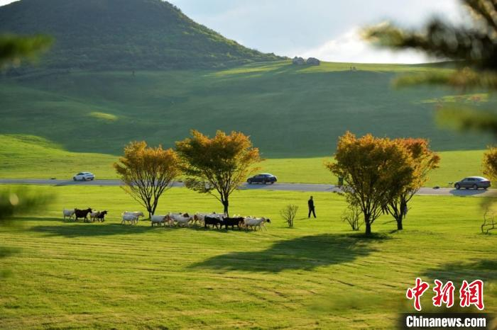 图为菖蒲景区打造酉阳旅游新名片。　酉阳县委宣传部供图
