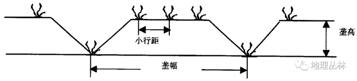 地理视角看垄沟种植|葡萄|土壤|水分|作物|地区_新浪新闻