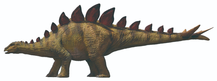 元始巴山龙复原图    受访者供图