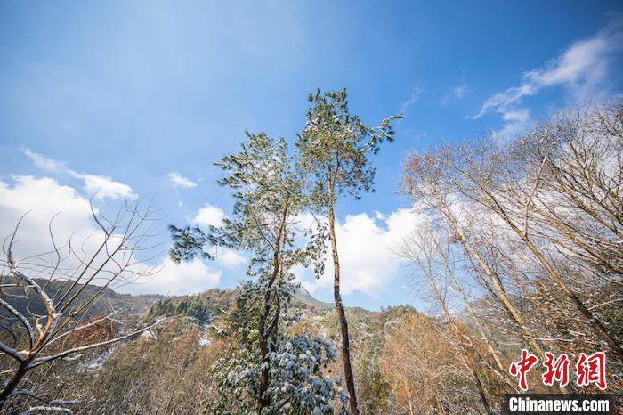 资料图：雪后初霁的浙江仙华山。张浩钺 摄