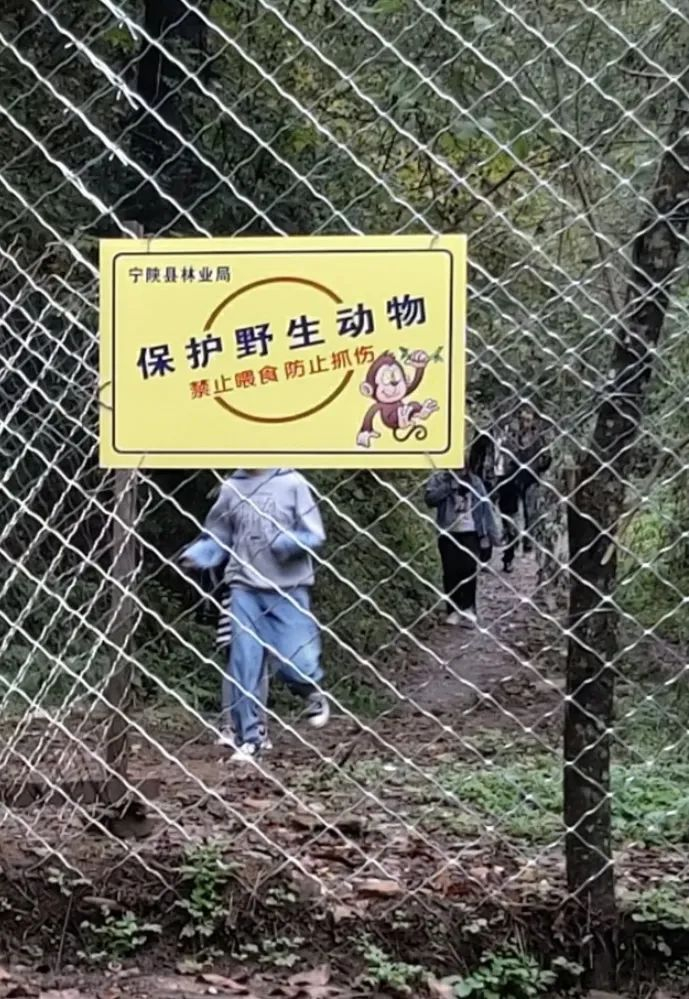 朝阳沟有设立“禁止喂食”的标语提醒危害，但收效甚微
