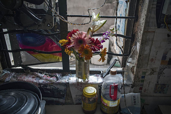 2019年4月17日   宁波    附近店铺开业，小莹在庆典现场捡来的花束。