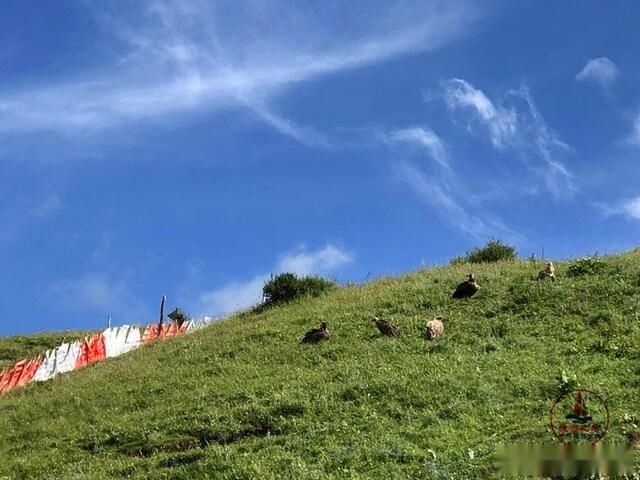 探寻甘南天葬台,感受藏族丧葬文化风貌,一个不适合拍照的地方