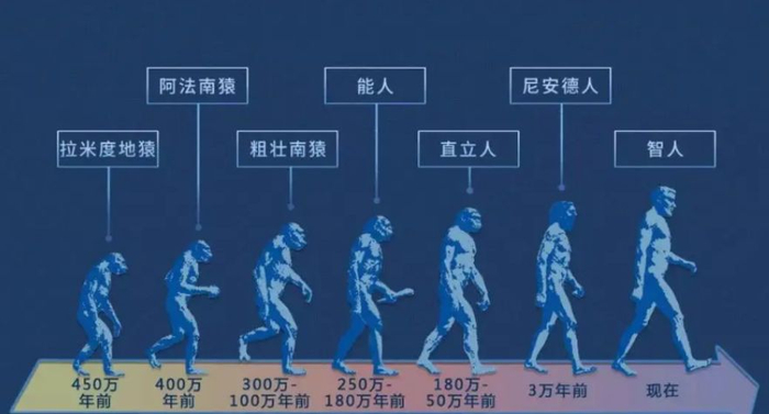 找到人类进化链上缺失的一环了?人类起源问题有希望盖棺定论