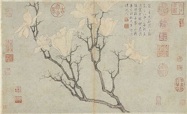 明 沈周 写生册《玉兰》 台北故宫博物院藏