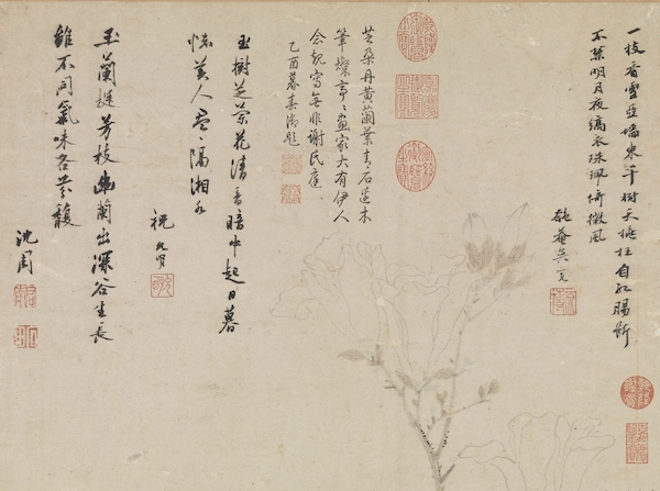 明 沈周 《画芝兰玉树》轴（局部） 台北故宫博物院藏