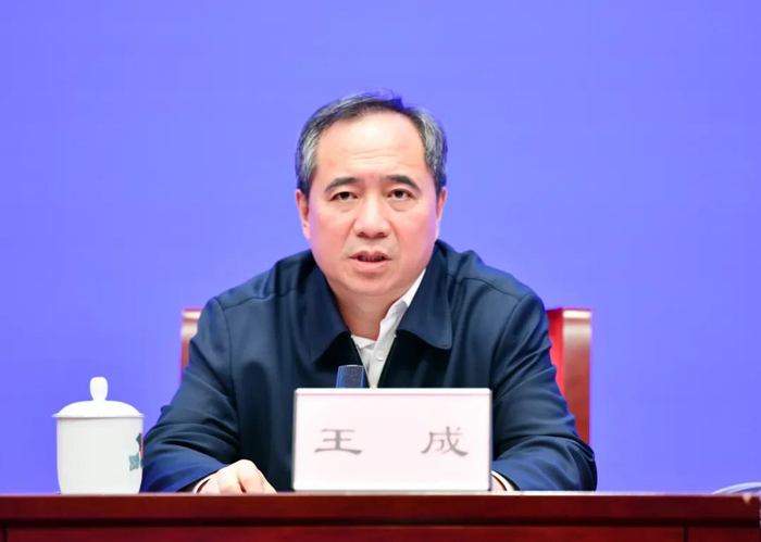 王成 资料图
