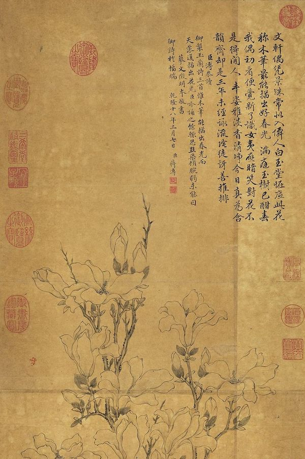 清 蒋溥 《摹文徵明玉兰花》轴（局部）  台北故宫博物院藏