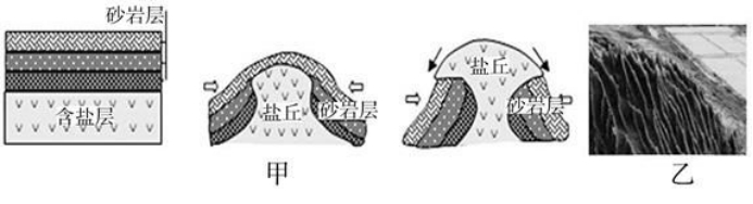 盐丘,一个盐挤岩的故事