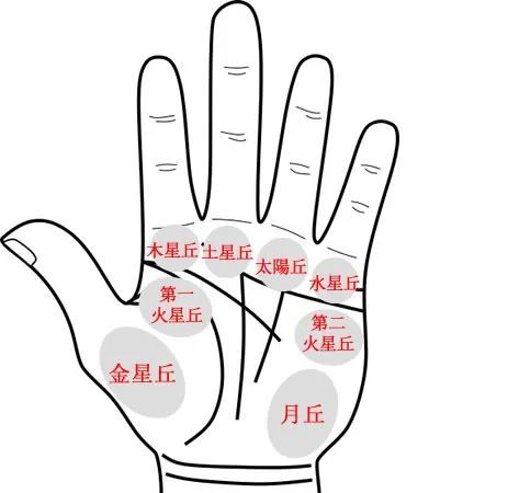 手相解析大全|手形、指甲、指纹、手指、掌丘