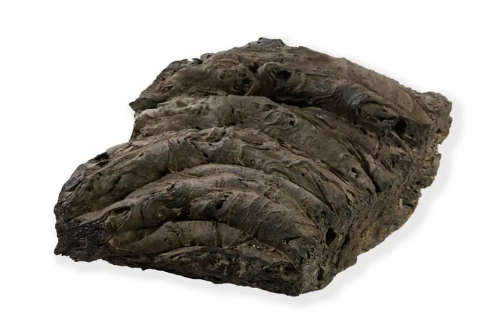 熊桃菊、黄伯裔1983年采自黑龙江五大连池的绳状火山熔岩标本，现藏于逸夫博物馆