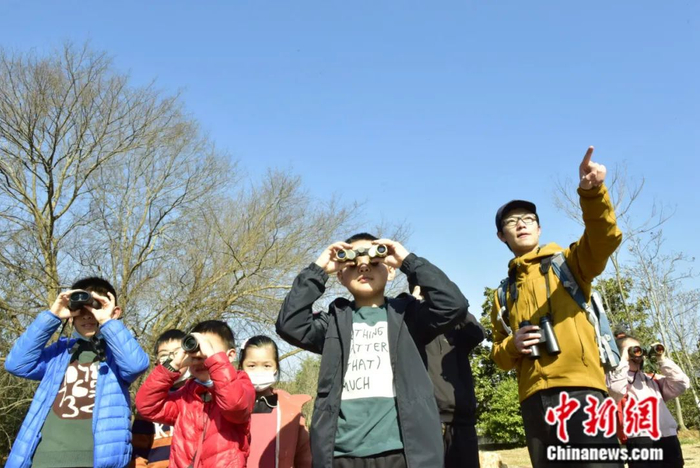 安徽儿童走进大自然观鸟。中新社发 葛宜年 摄