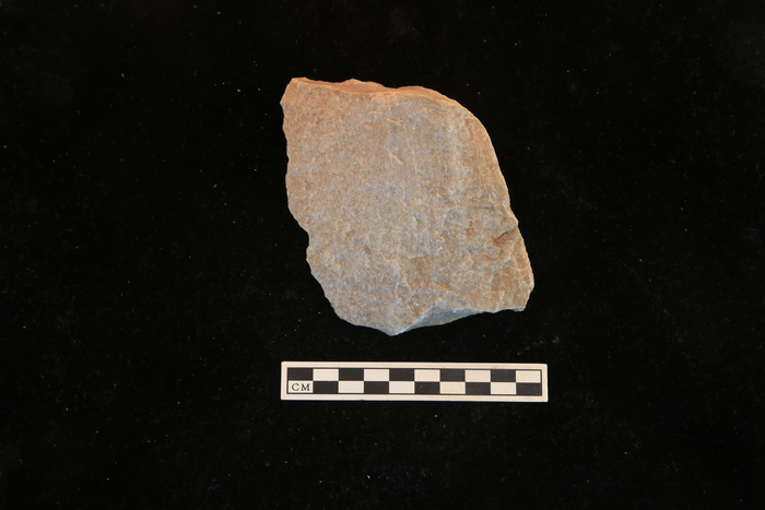 出土的石片。陕西省考古研究院供图