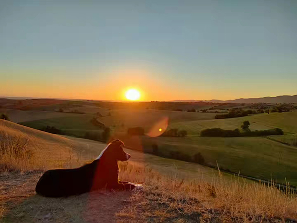 菜籽沟日出。摄影：木贞