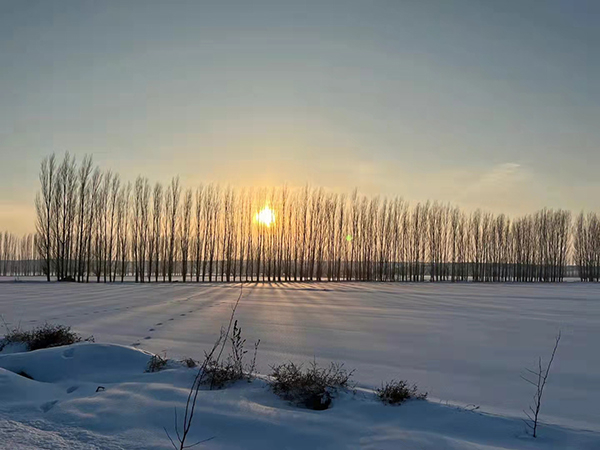 日落回村。摄影 刘亮程