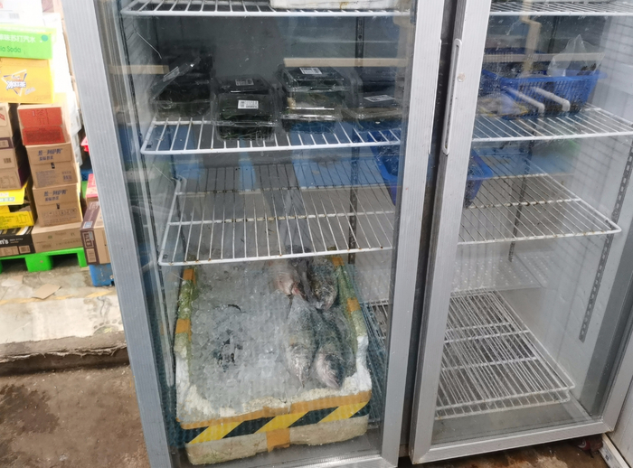▲在三元站，死鱼被存放在冰柜下层的泡沫箱里，仅简单地以碎冰覆盖。新京报记者 王瑞文 摄