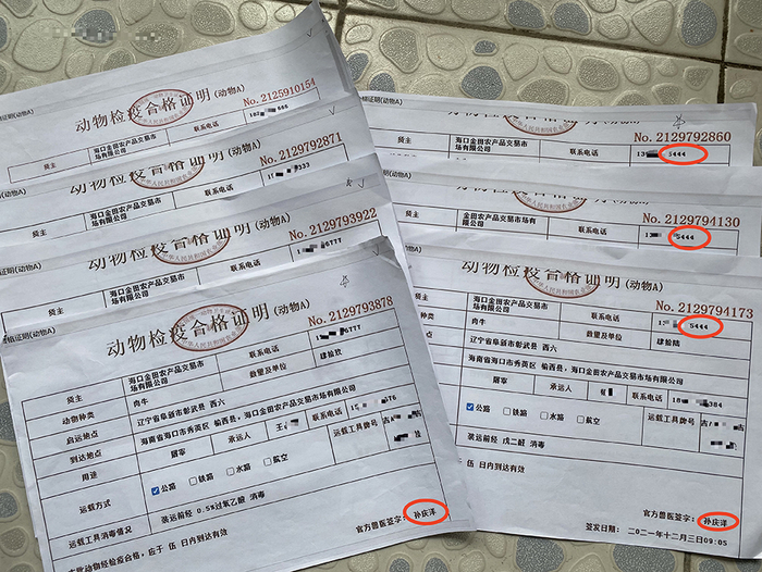 　除苏添艺涉及的5444外，另外4个能打通电话的联系人都否认与海口金田公司有业务往来，他们均表示未在彰武县开具过动物检疫A证。