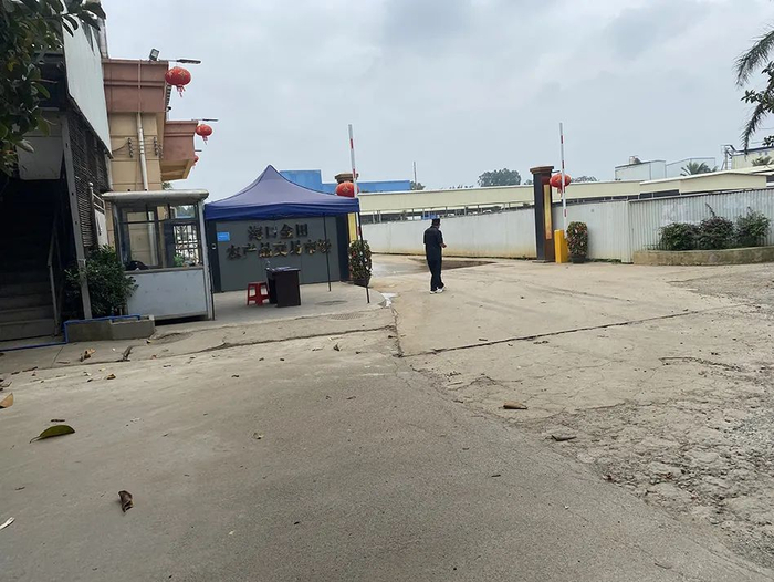 海口金田公司。