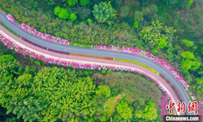 空中俯瞰妆点一新的嘉州绿心公园春色。　刘忠俊 摄