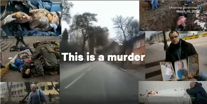 图片截取自视频