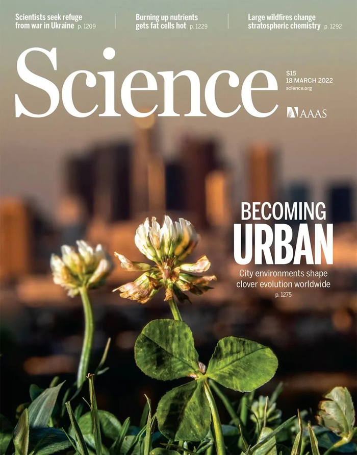 打破校史! 211强校,迎来首篇Science !|北京工业大学|张泽|论文