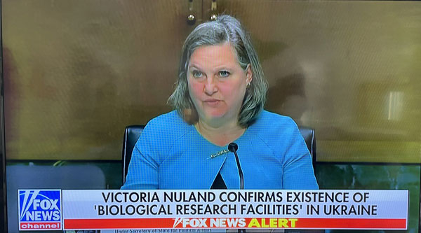 Fox新闻视频翻拍，图片来源：推特