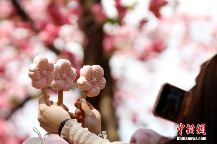 资料图：游人手持樱花文创雪糕拍照。 中新社记者 李嘉娴 摄