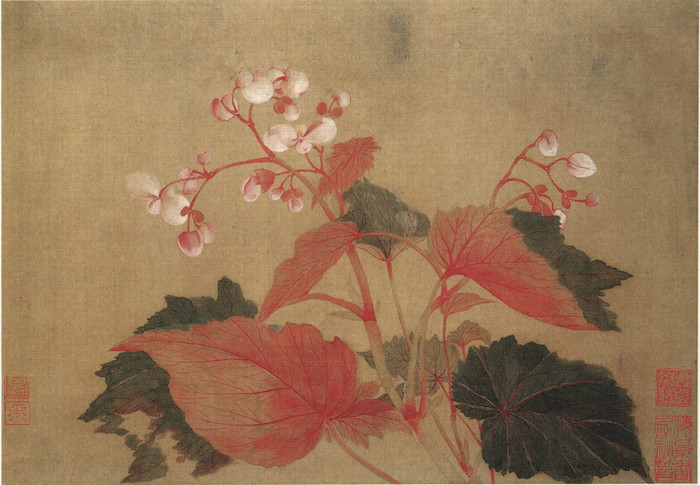 清 恽寿平《海棠花》