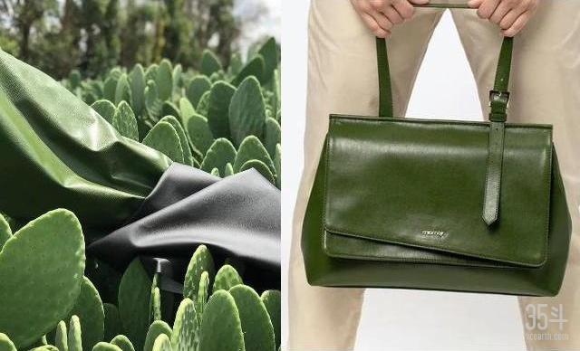 图2：左：仙人掌皮革 右：仙人掌包包，图片来源：Desserto官网