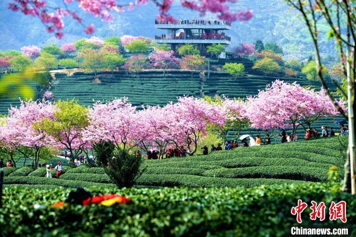 资料图：春暖花开。王东明 摄