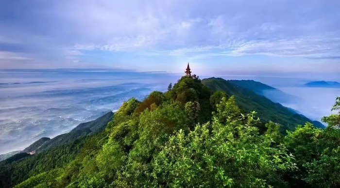 茶山竹海  永川区委宣传部供图