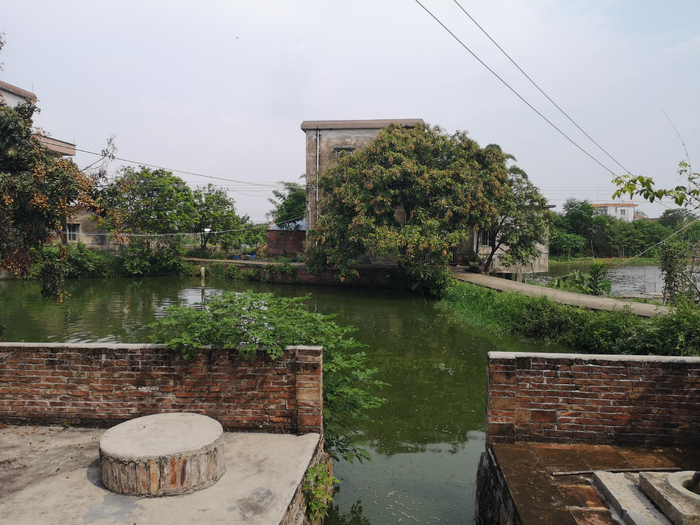 王泽邦故居旁的河涌