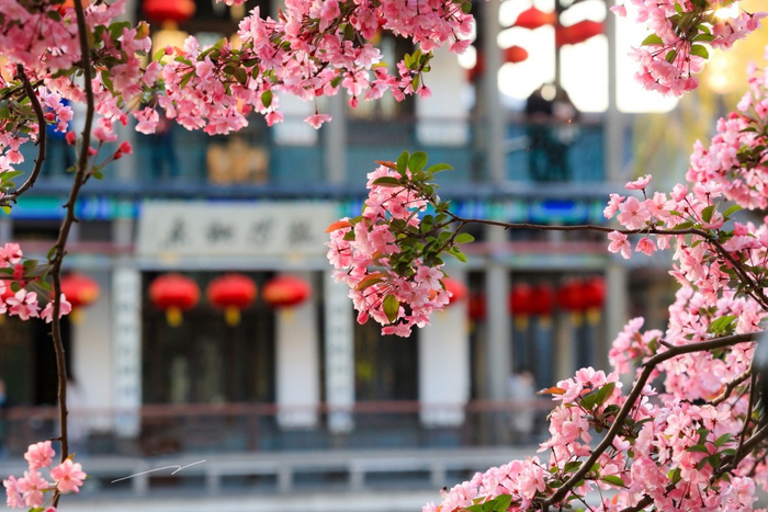 春游踏青丨这才是济南春天正确的打开方式|济南市|方特|五龙潭|樱花|孟姜女_新浪新闻