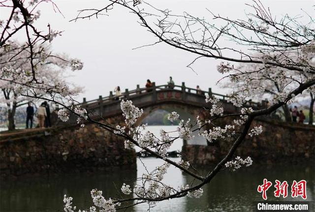 昔日人头攒动的长春桥，如今略显“清冷”。 孙权 摄 