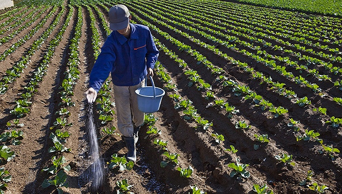 图片来源：视觉中国