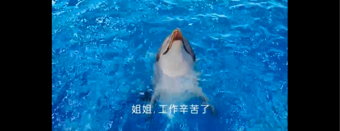 截图自膜法世家“海豚皮”广告视频