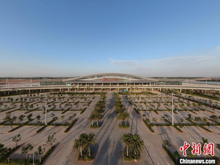 机场周边种植了大量的椰树 姚瑞哲 摄