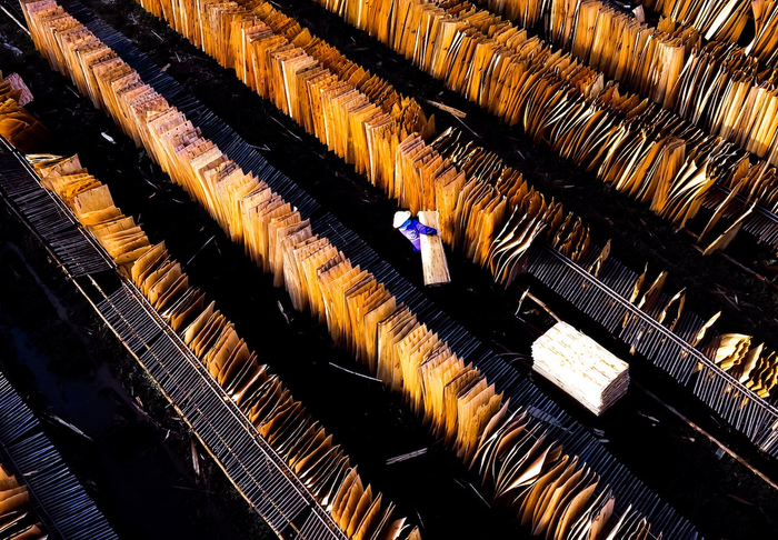 　越南永福，工人们把胶合板放在架子上进行晾晒。在这个小型生产工厂中，这些板材被浸泡在水中，以便切割。这些厚度在0.3至0.6毫米的板材进行粘合，形成最终的胶合板。这些胶合板将被出口至亚洲市场。