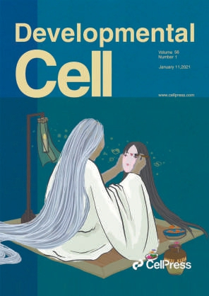 刘光慧科研团队将“中国风”带上国际学术期刊封面