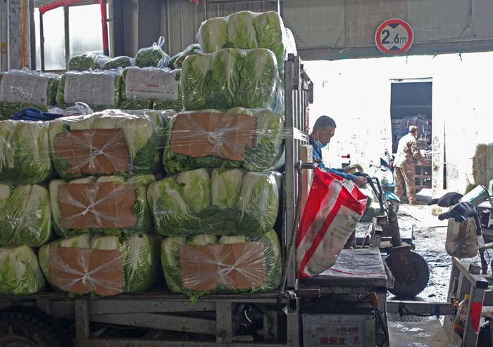 　　沈阳盛发蔬菜批发市场内，商户在运输蔬菜。新华社记者 翟啸山 摄