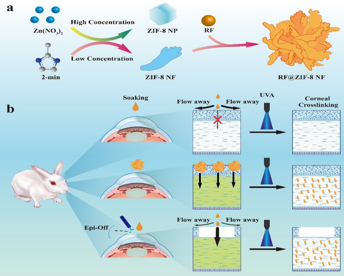 研究成果总览图。采访对象供图