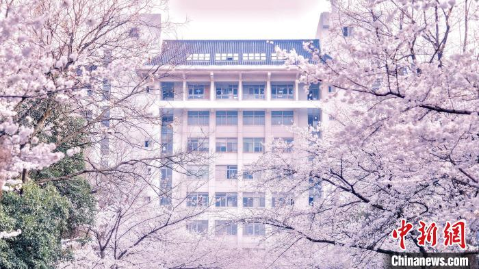 南京林业大学邀约民众“云”赏春日胜景。王旭瑶 摄