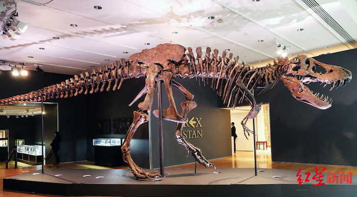 2020年被拍卖前的斯坦