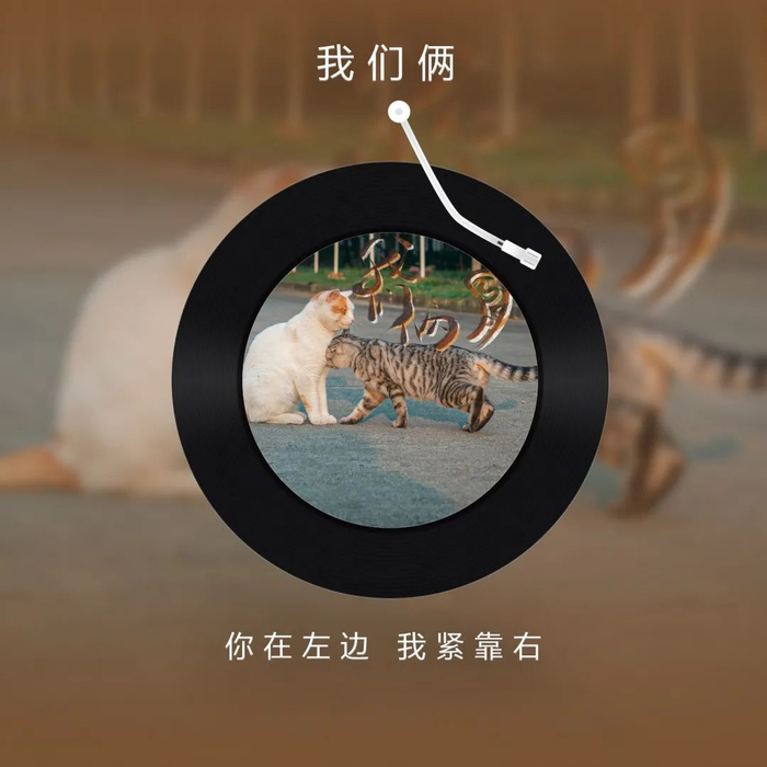 毕业那天