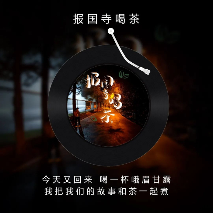 看过四年明湖荷花开又败
