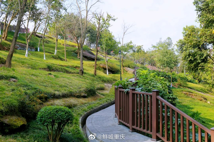 边逛边学!重庆有座书法主题公园